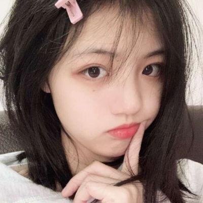 科搜研之女第24季
